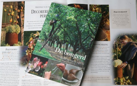 De Bongerd